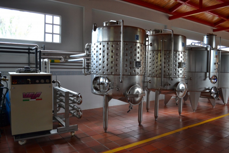 cave-CHATEAUVIEUX-min_wine_production_cantine_winery_drink_alcohol_vine_beverage-902036